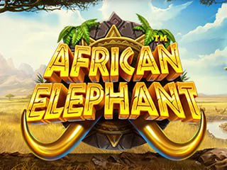AfricanElephant.webp