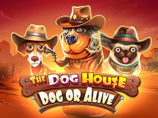 TheDogHouseDogorAlive.webp